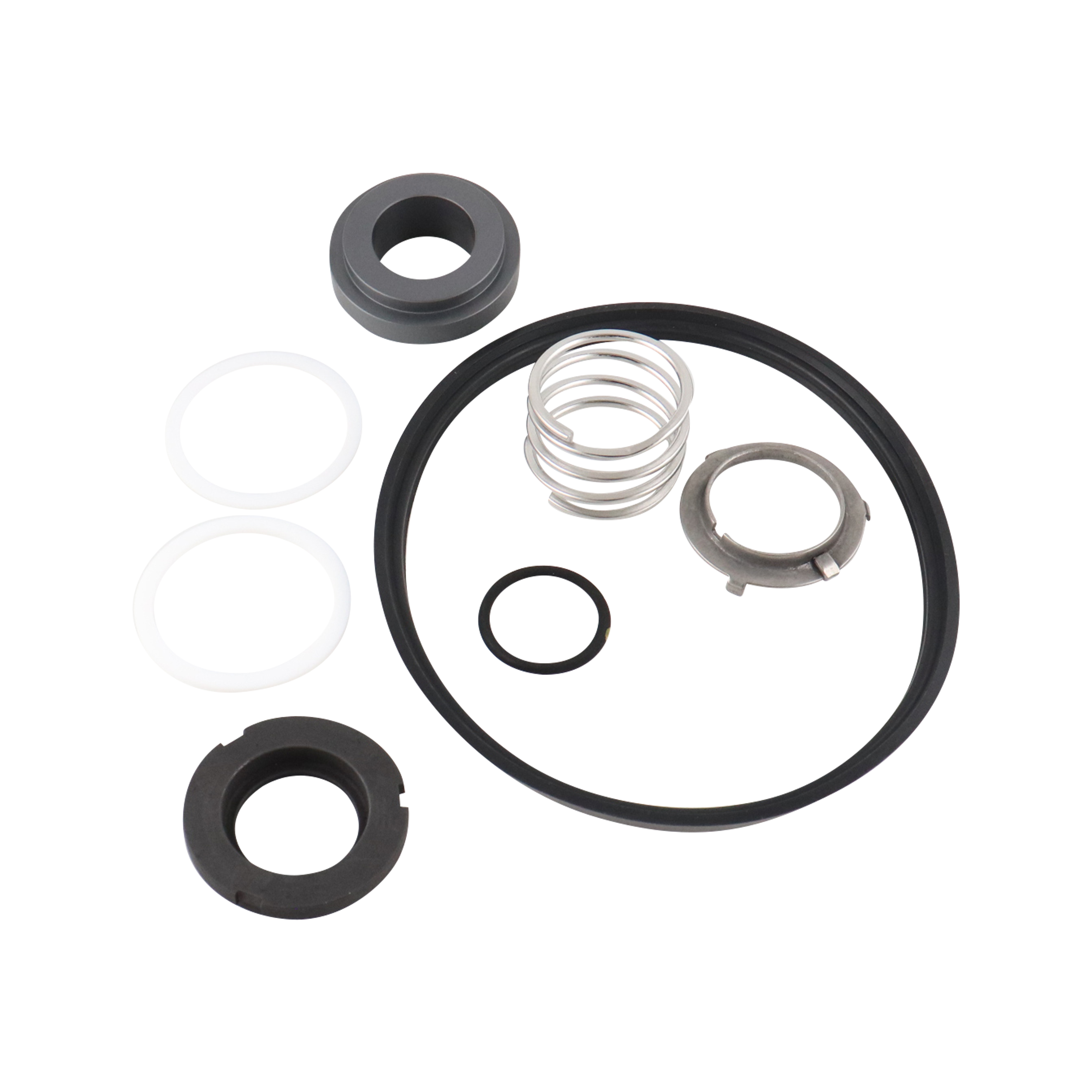 Seal kit, Viton material, compatible with DG C216 pumps.