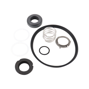 Seal kit, Viton material, compatible with DG C216 pumps.