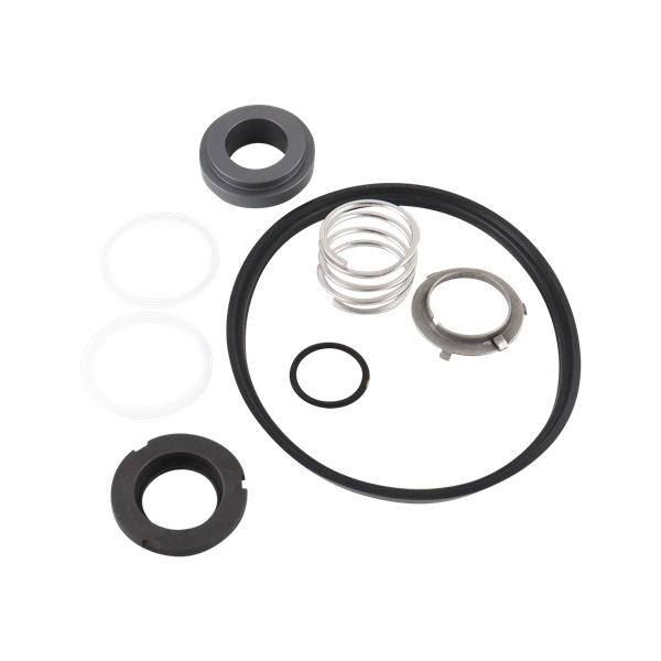 Seal kit, Viton material, compatible with DG C216 pumps.