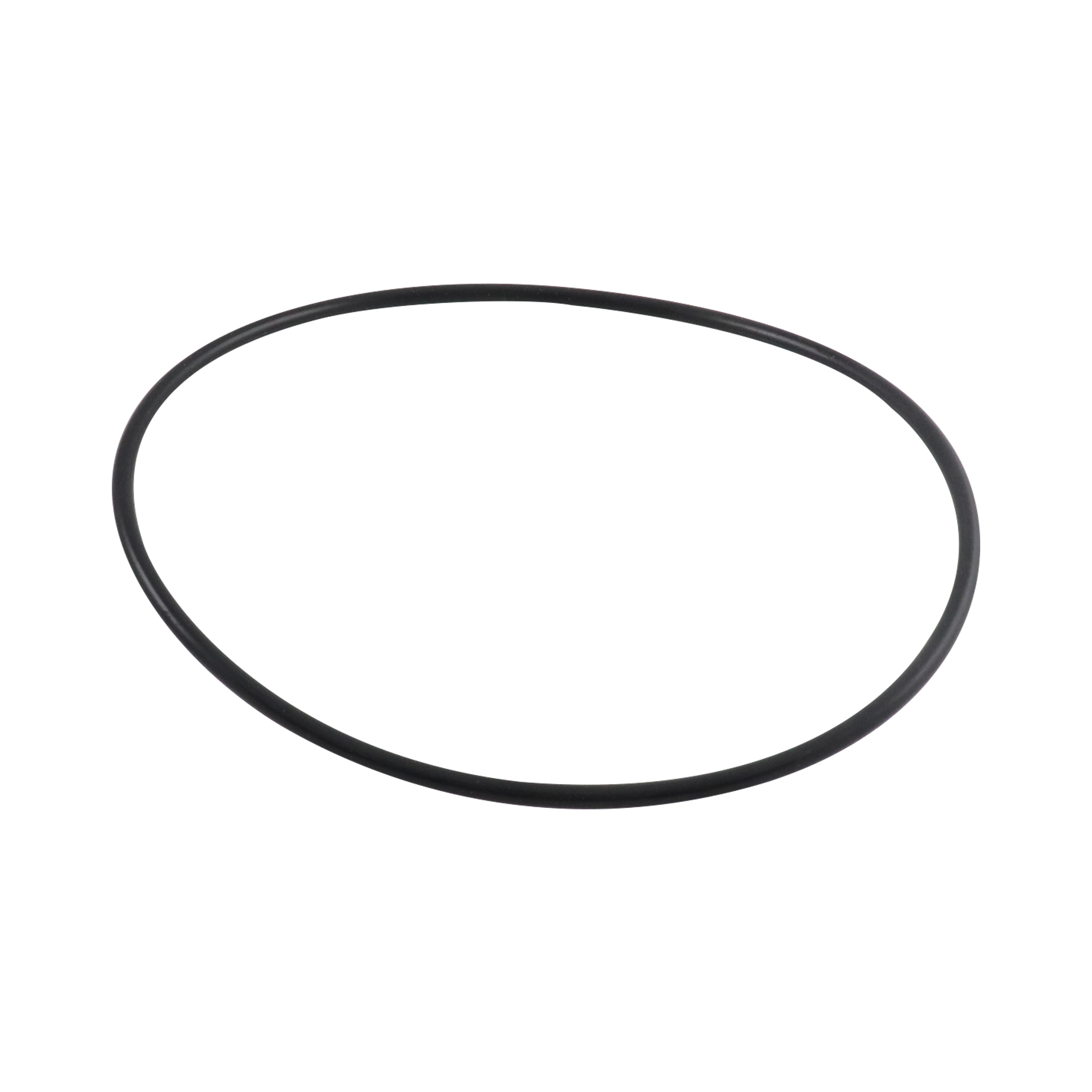 Casing gasket, EPDM, ASP215-22-18, Ampco