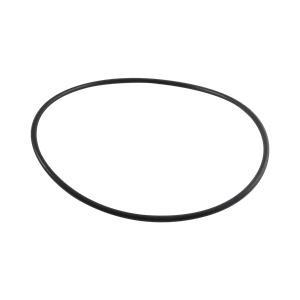 Casing gasket, EPDM, ASP215-22-18, Ampco