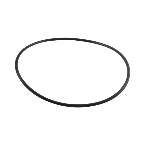 Casing gasket, EPDM, ASP215-22-18, Ampco