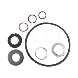 Seal kit C216 plus DG seal viton Ampco