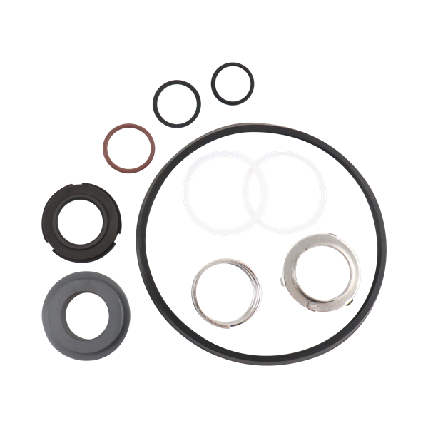 Seal kit C216 plus DG seal viton Ampco