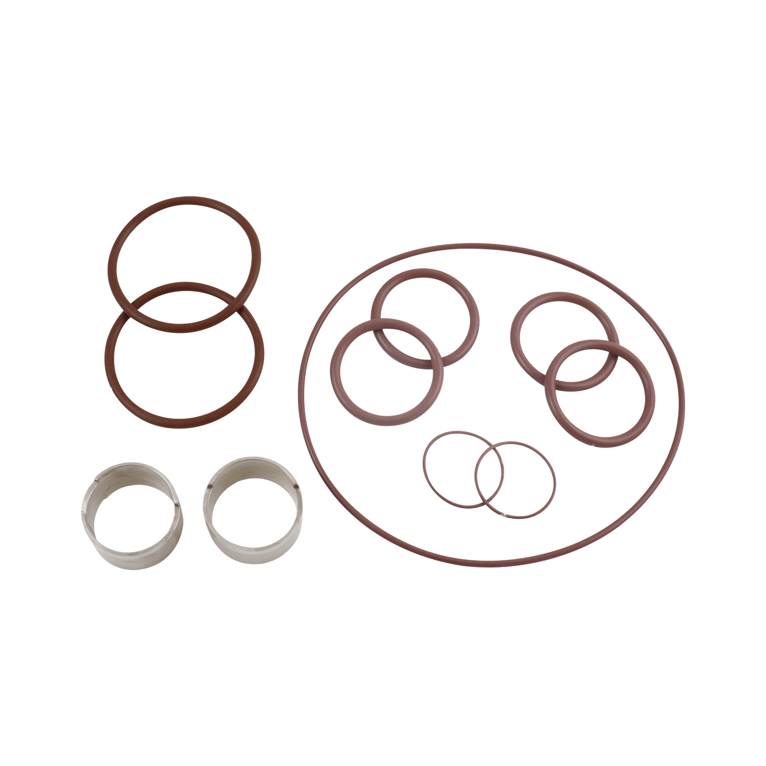 Seal kit U1 ZP1 model 30, double o-ring, viton, SS, Ampco