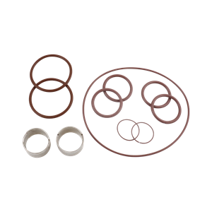 Seal kit U1 ZP1 model 30, double o-ring, viton, SS, Ampco