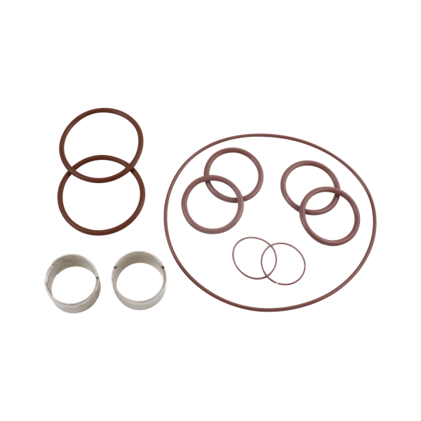 Seal kit U1 ZP1 model 30, double o-ring, viton, SS, Ampco