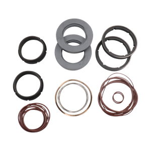 Seal kit, C/SC, viton, double flush mechanical, U2 ZP2 model 220 180, Ampco
