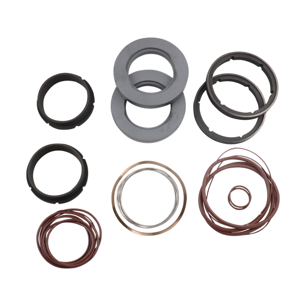 Seal kit, C/SC, viton, double flush mechanical, U2 ZP2 model 220 180, Ampco