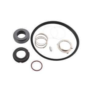 Seal kit for C216 viton DG Ampco pumps