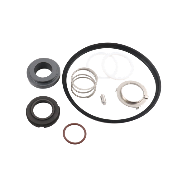 Seal kit for C216 viton DG Ampco pumps