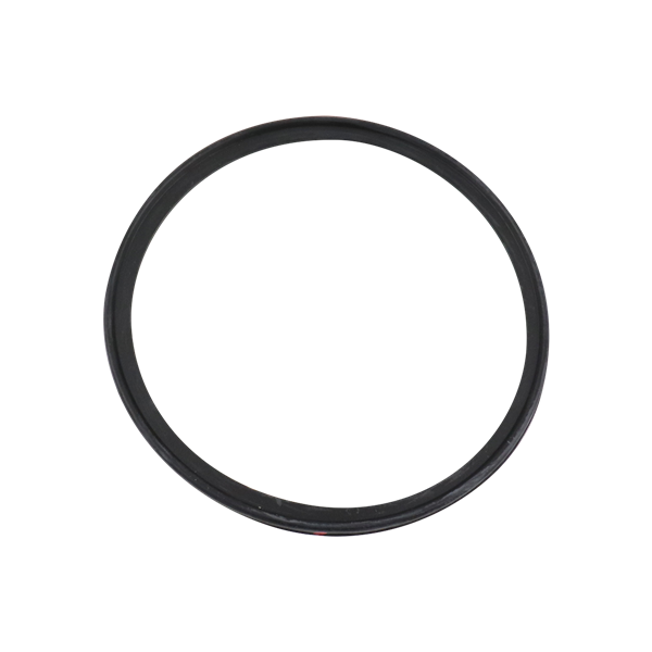 Body Gasket made of Buna, compatible with the 761 series.