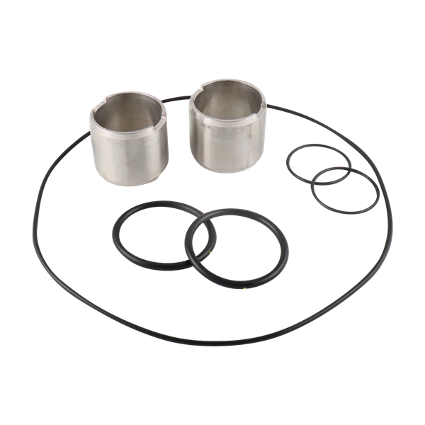 Seal kit for U1 ZP1 model 60 130, single o-ring buna SS made by Ampco