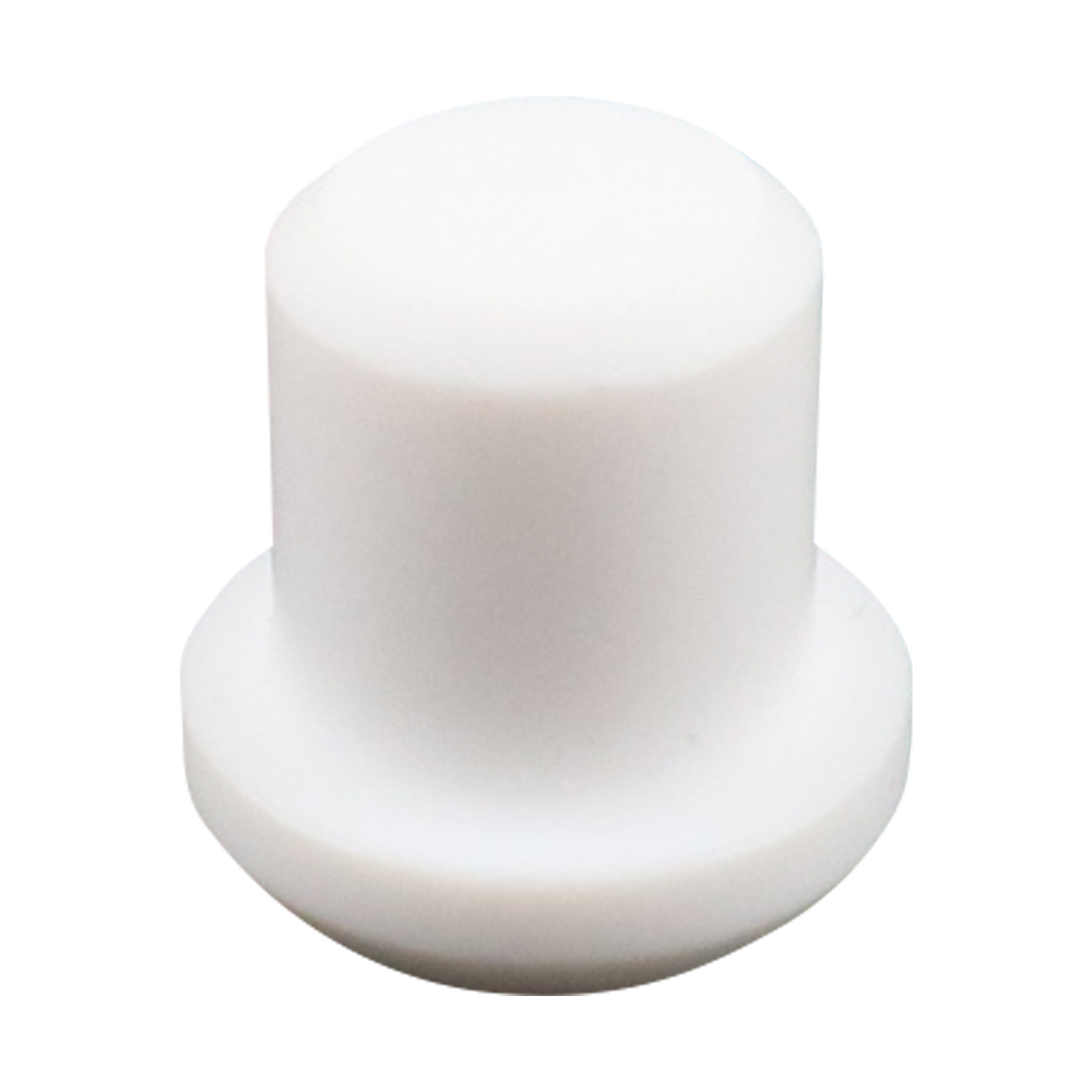 Plug PTFE 0.5" 0.75" check valve