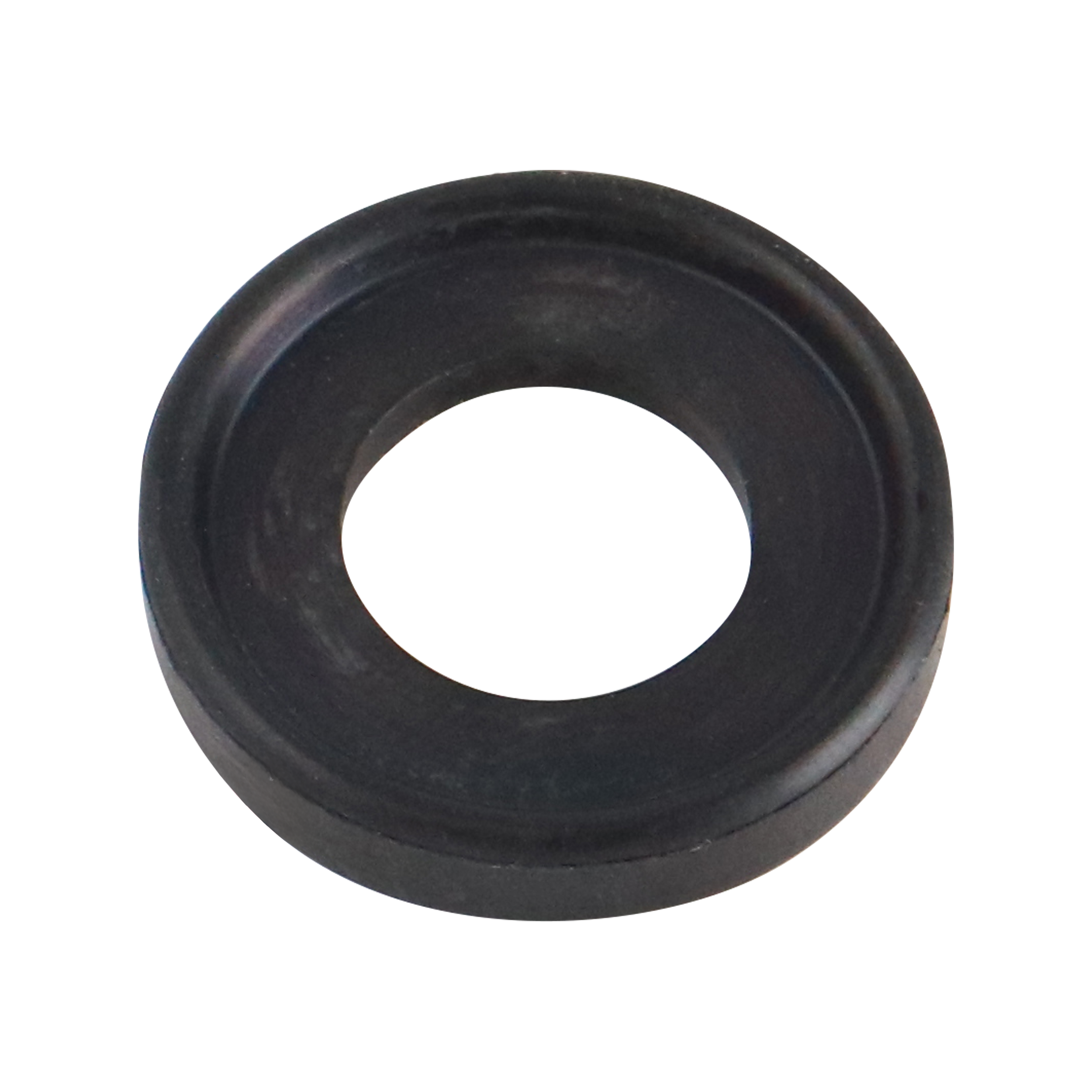 gasket, 0.5-inch Tri-Clamp, made from Buna material