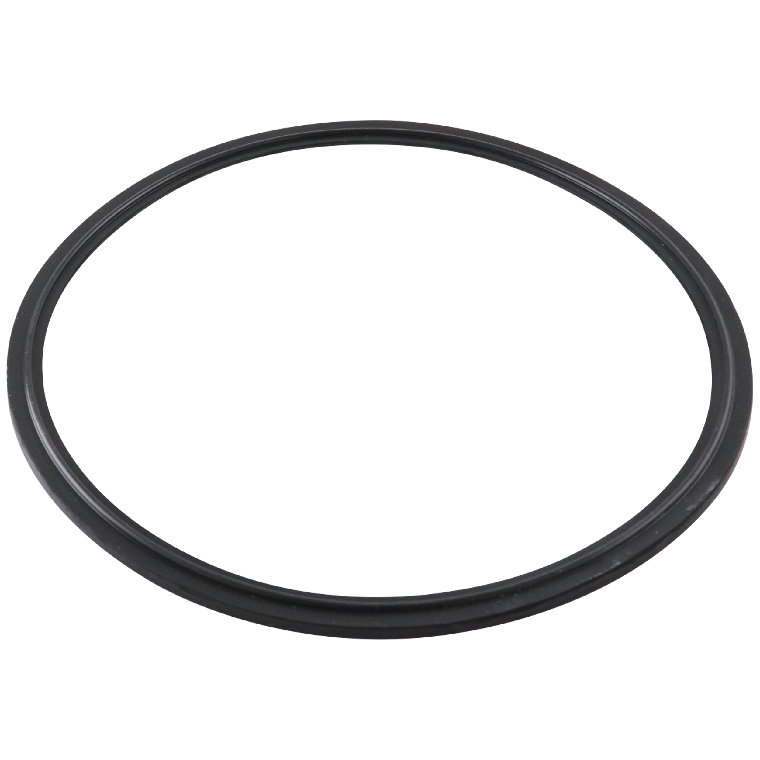 flanged gasket, 8-inch Tri-Clamp, made from EPDM material