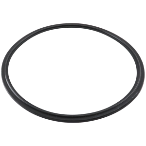 flanged gasket, 8-inch Tri-Clamp, made from EPDM material