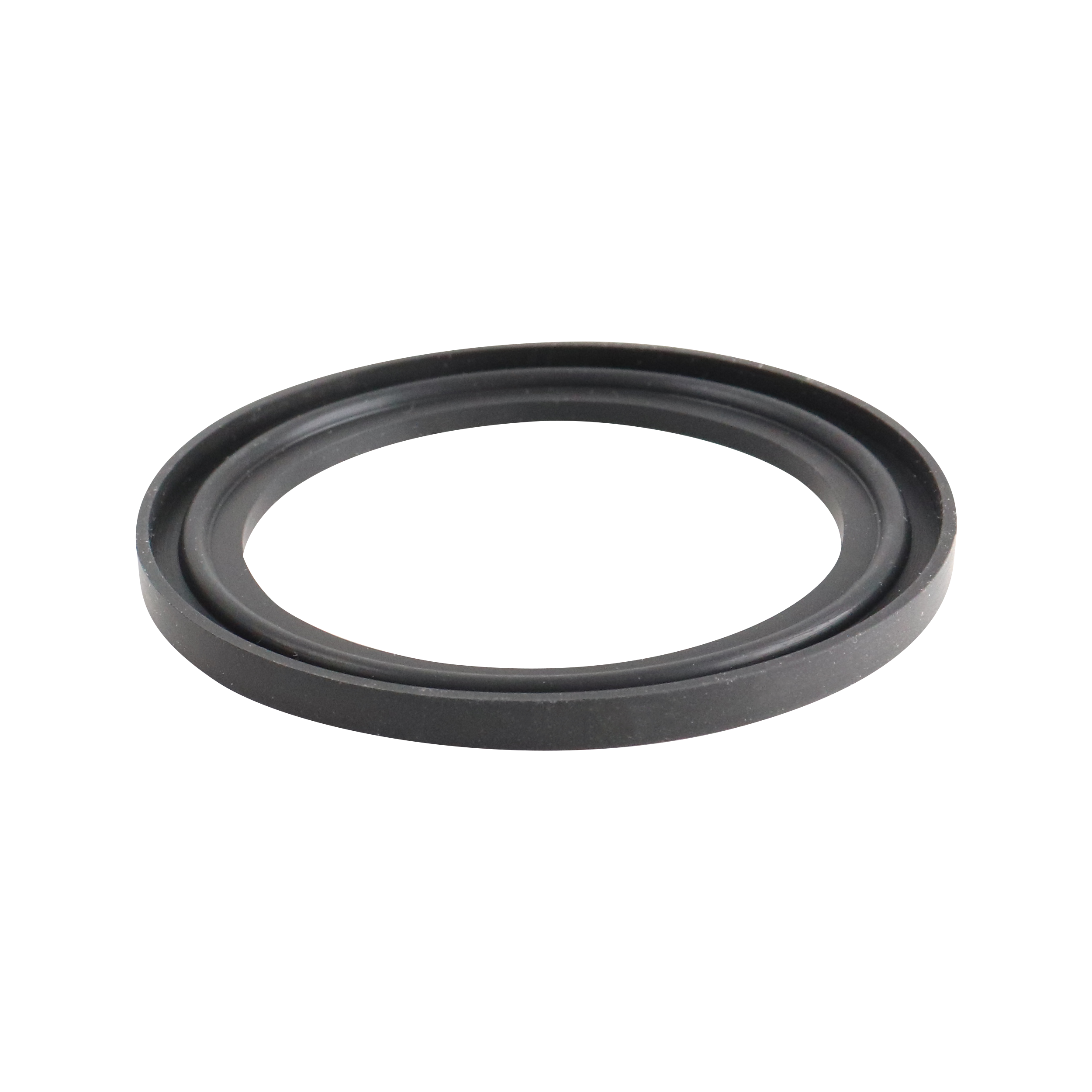 Gasket flanged 1" tri-clamp viton USP class VI