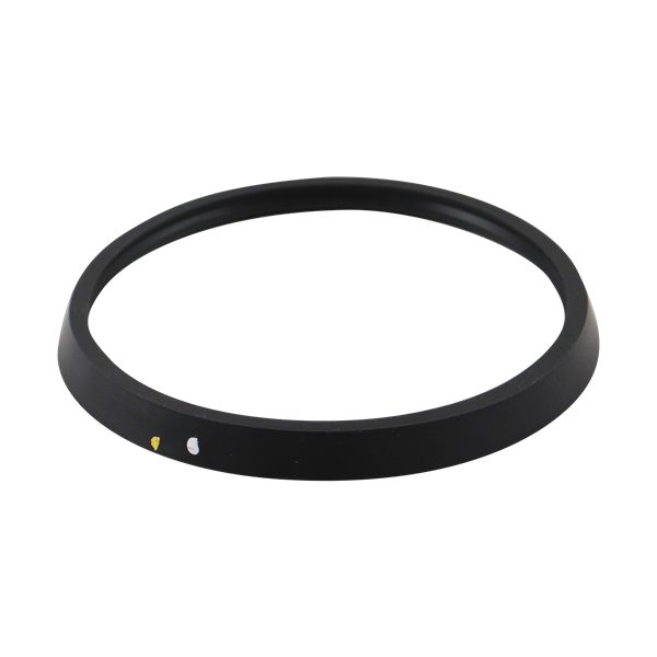 Casing gasket viton for C114 pump