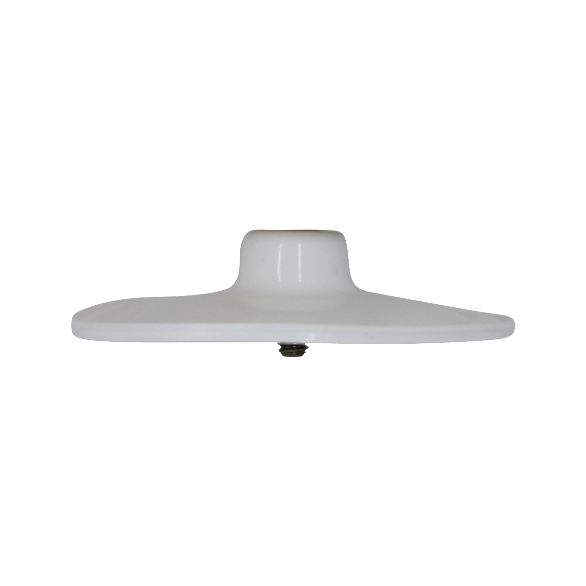 Primary diaphragm, integral, Wilden