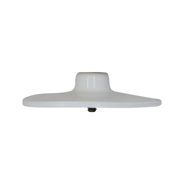 Primary diaphragm, integral, Wilden