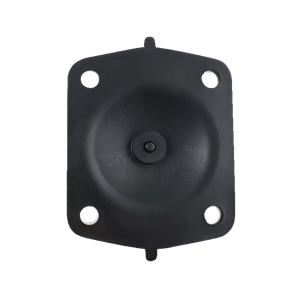 48076 diaphragm TME PTFE / EPDM 2.5" cast body only ITT