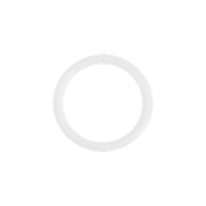 O-ring, 0.984 x 0.139, teflon, Wilden