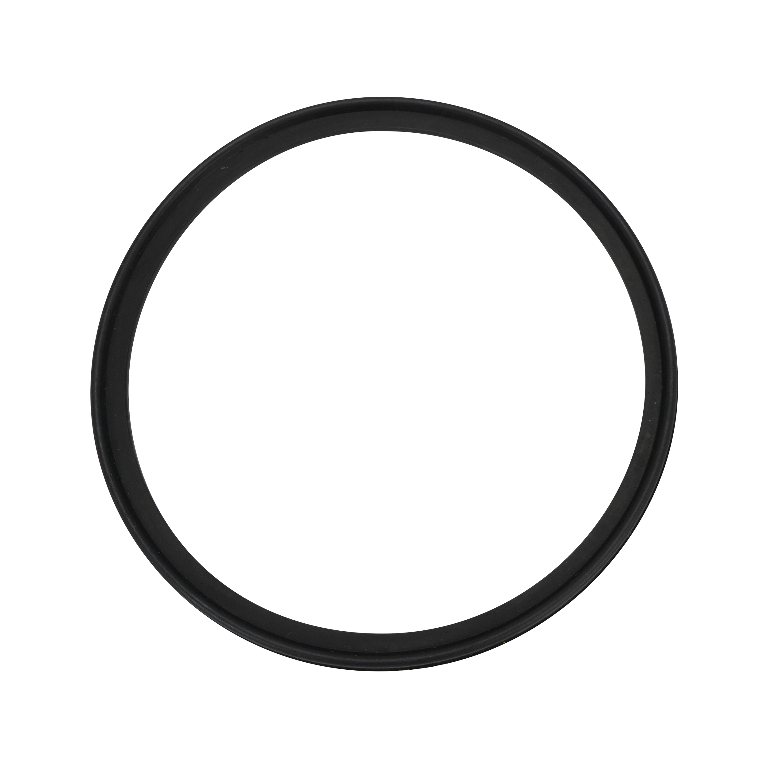 Body gasket viton for 761 valves