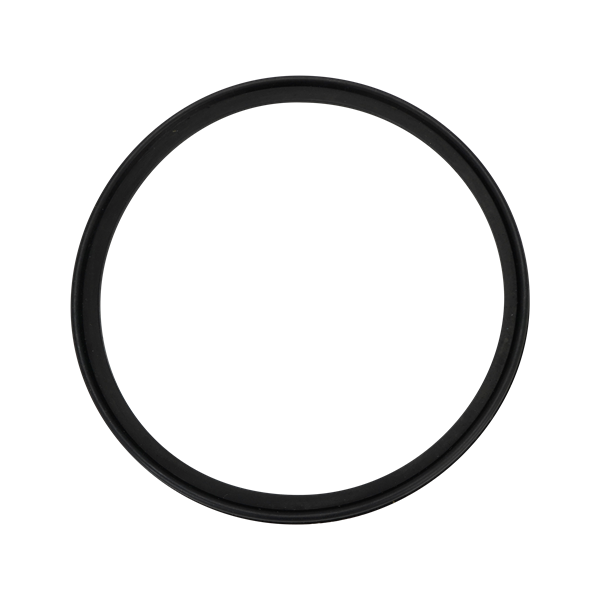 Body gasket viton for 761 valves