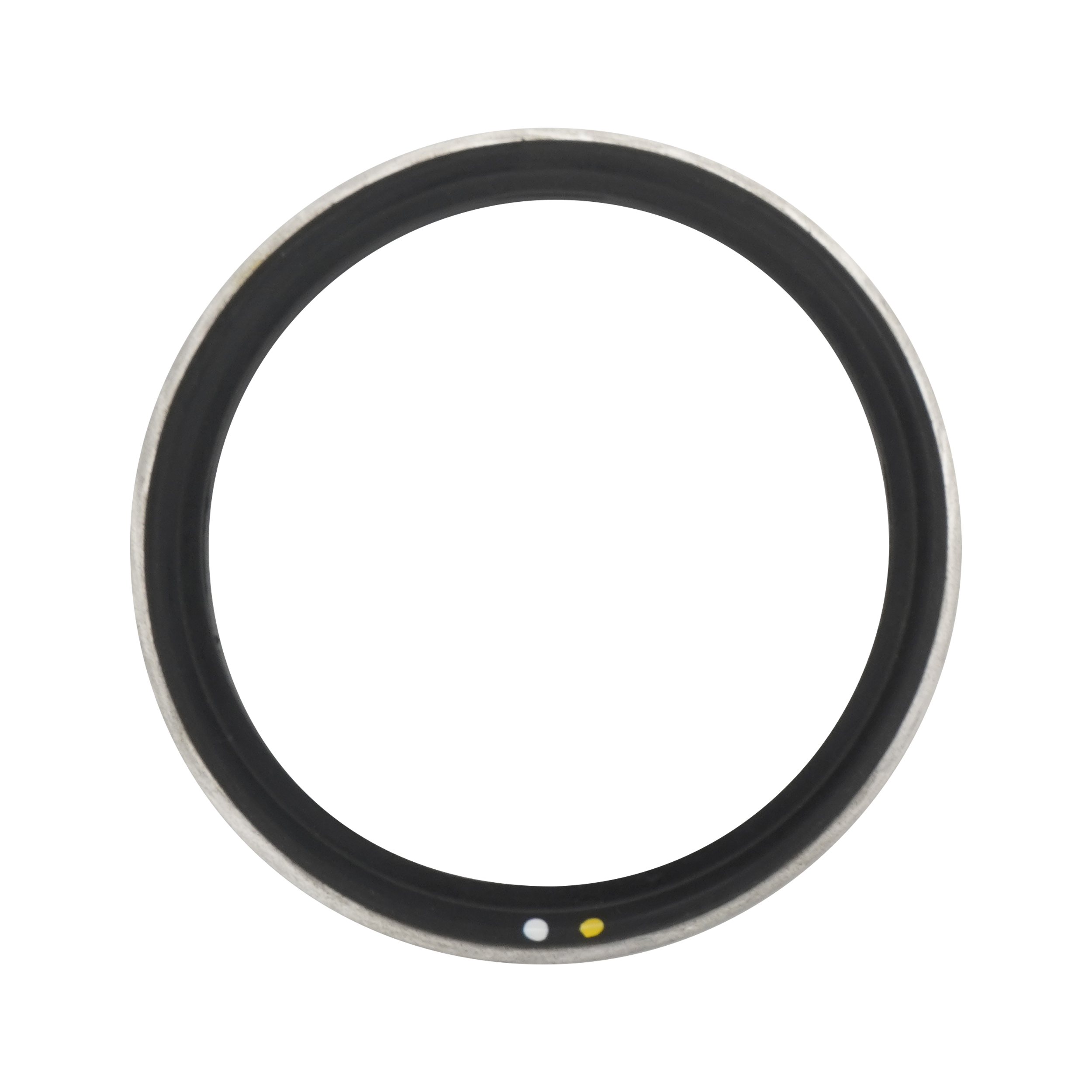 Body gasket, 2.5", viton, with 316L metal ring, for air valve