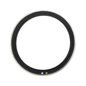 Body gasket, 2.5", viton, with 316L metal ring, for air valve