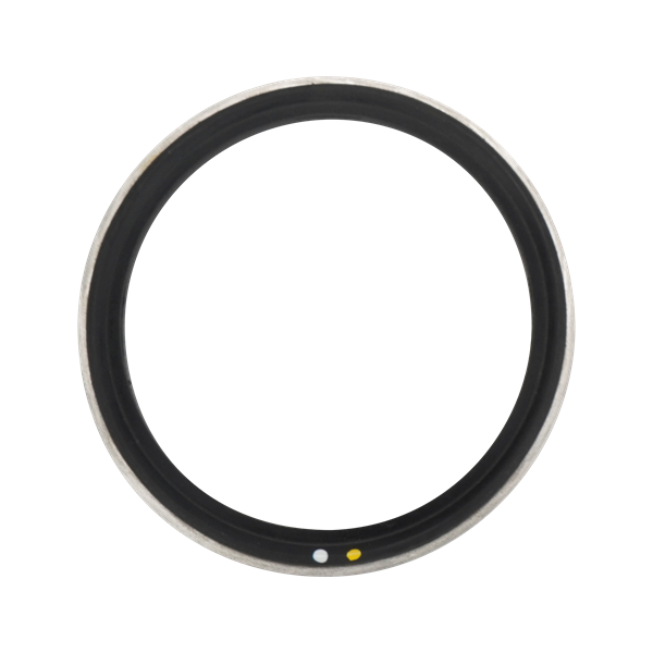 Body gasket, 2.5", viton, with 316L metal ring, for air valve