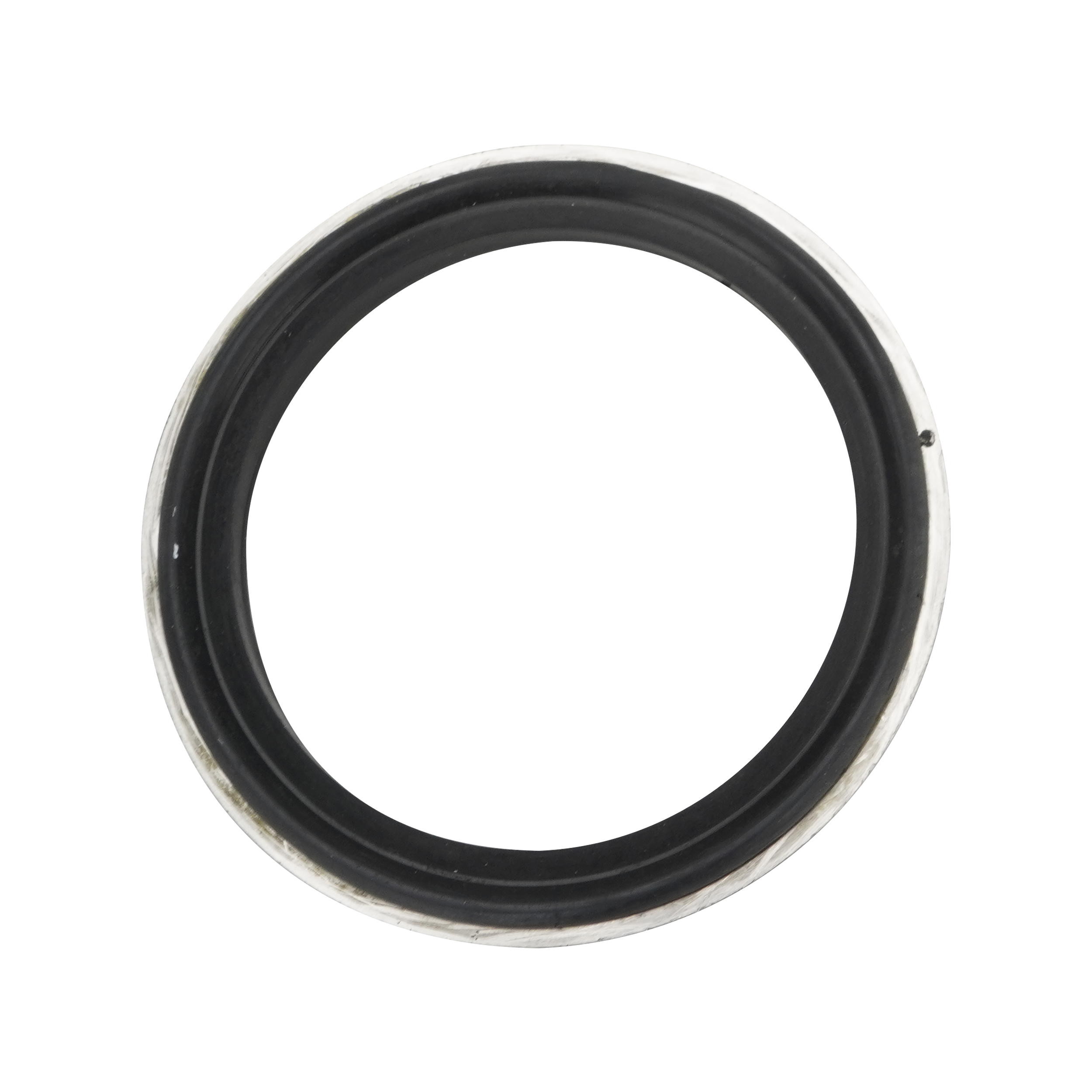 Body gasket, 1.5", viton with 316L metal ring, for air valve