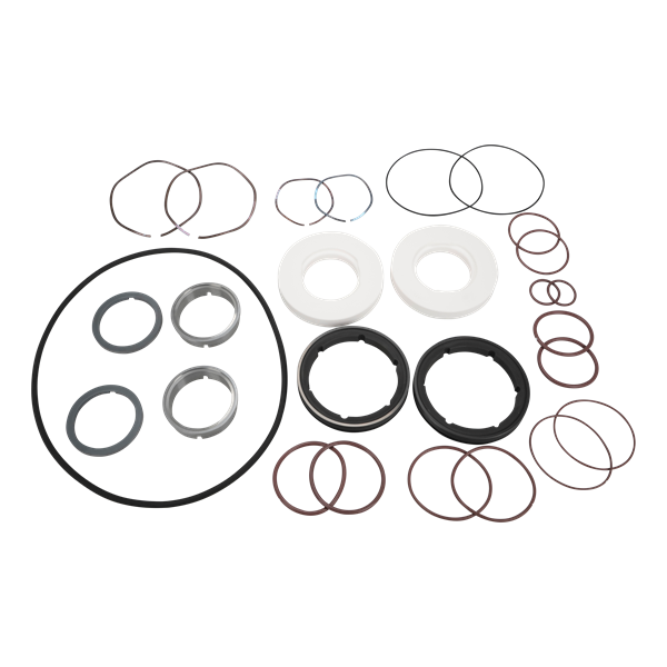 Seal kit ZP3 model 45 60 130 double flush mechanical viton SC/TC CER/C P3GS060200-V Ampco