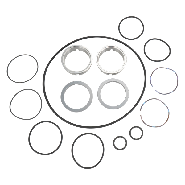 Seal kit with Viton material, designed for SC/TC single seals, ZP3 Model 30.