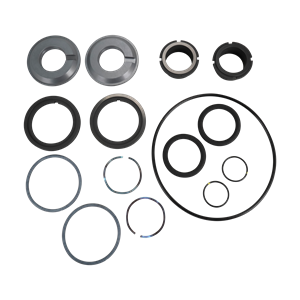 Seal kit, U1 ZP1 model 6 15 18, double mechanical, C/SC, buna, Ampco
