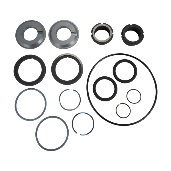 Seal kit, U1 ZP1 model 6 15 18, double mechanical, C/SC, buna, Ampco