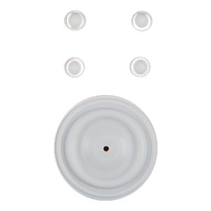 Repair kit wet 1" original metal PTFE Wilden