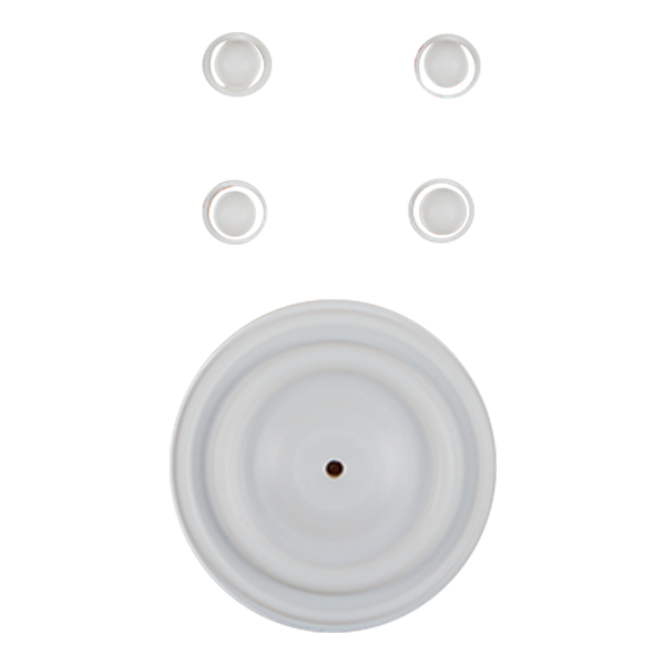 Repair kit wet 1" original metal PTFE Wilden