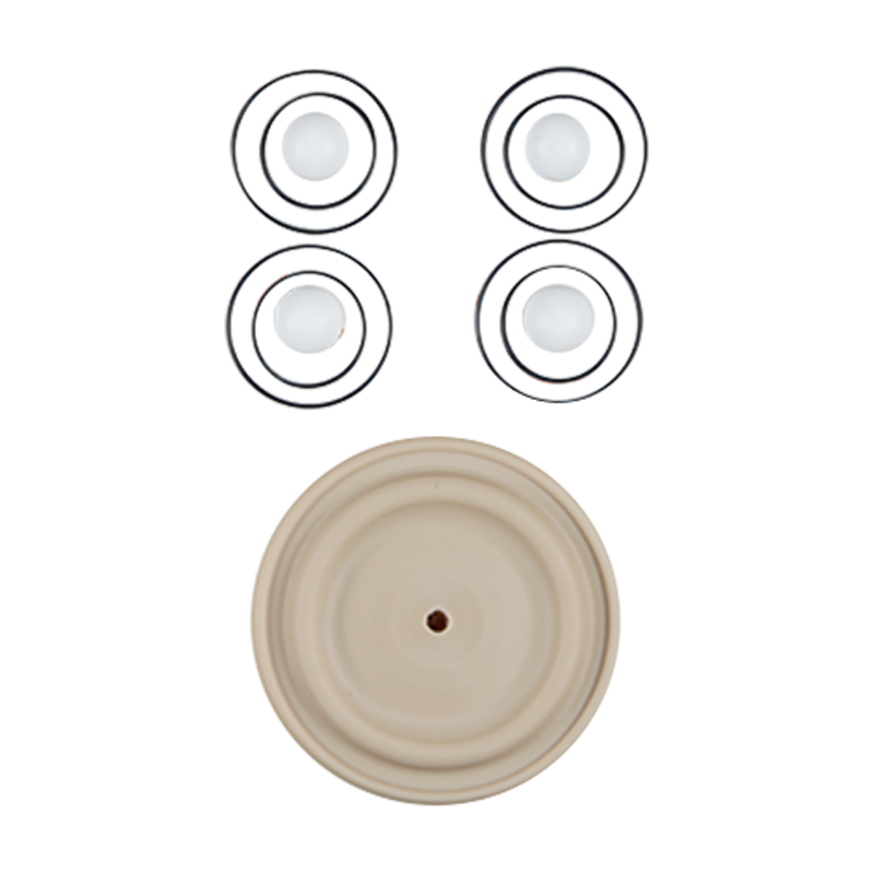 Repair kit for wet applications, 1-inch advanced plastic, PTFE material with neoprene components, manufactured by Wilden.