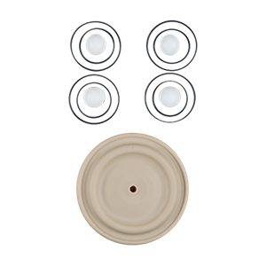 Repair kit for wet applications, 1-inch advanced plastic, PTFE material with neoprene components, manufactured by Wilden.