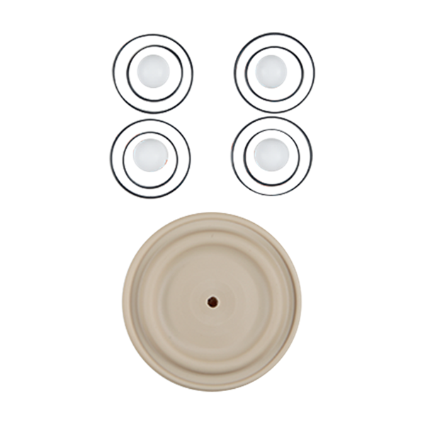 Repair kit for wet applications, 1-inch advanced plastic, PTFE material with neoprene components, manufactured by Wilden.