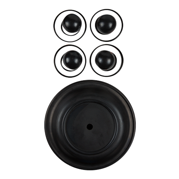 Repair kit wet 1.5" advanced plastic buna Wilden