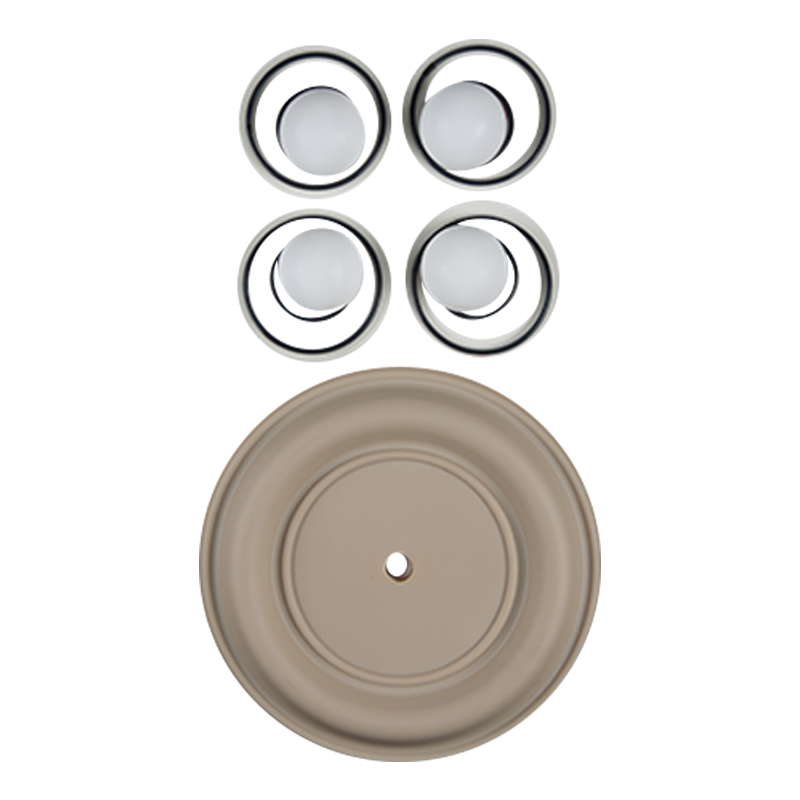 Repair kit wet 1.5" advanced plastic PTFE w/ neoprene Wilden