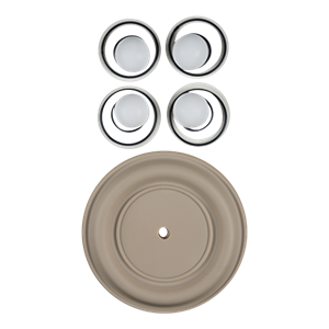 Repair kit wet 1.5" advanced plastic PTFE w/ neoprene Wilden