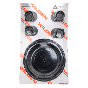 Repair kit wet 2" brahma metal buna Wilden