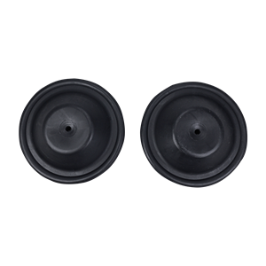Diaphragm made of Geolast material, pack of 2, manufactured by All-Flo.
