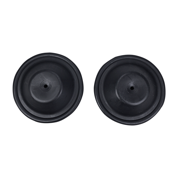 Diaphragm made of Geolast material, pack of 2, manufactured by All-Flo.