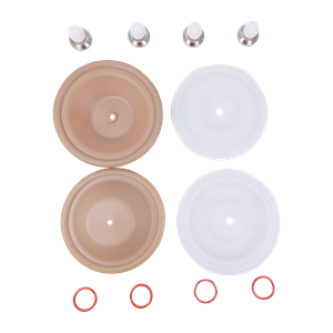Repair kit wet 0.5" bolted metal PTFE All-Flo