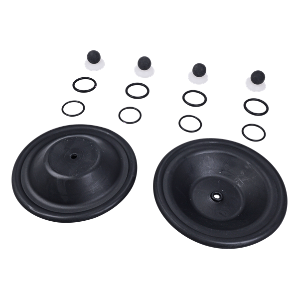 CWE-050-GGPN-P 1.png